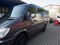 sprinter 09