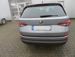 kodiaq 13